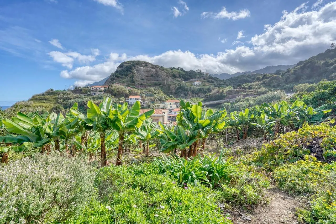 Quinta Da Vila Porto Da Cruz Holiday home