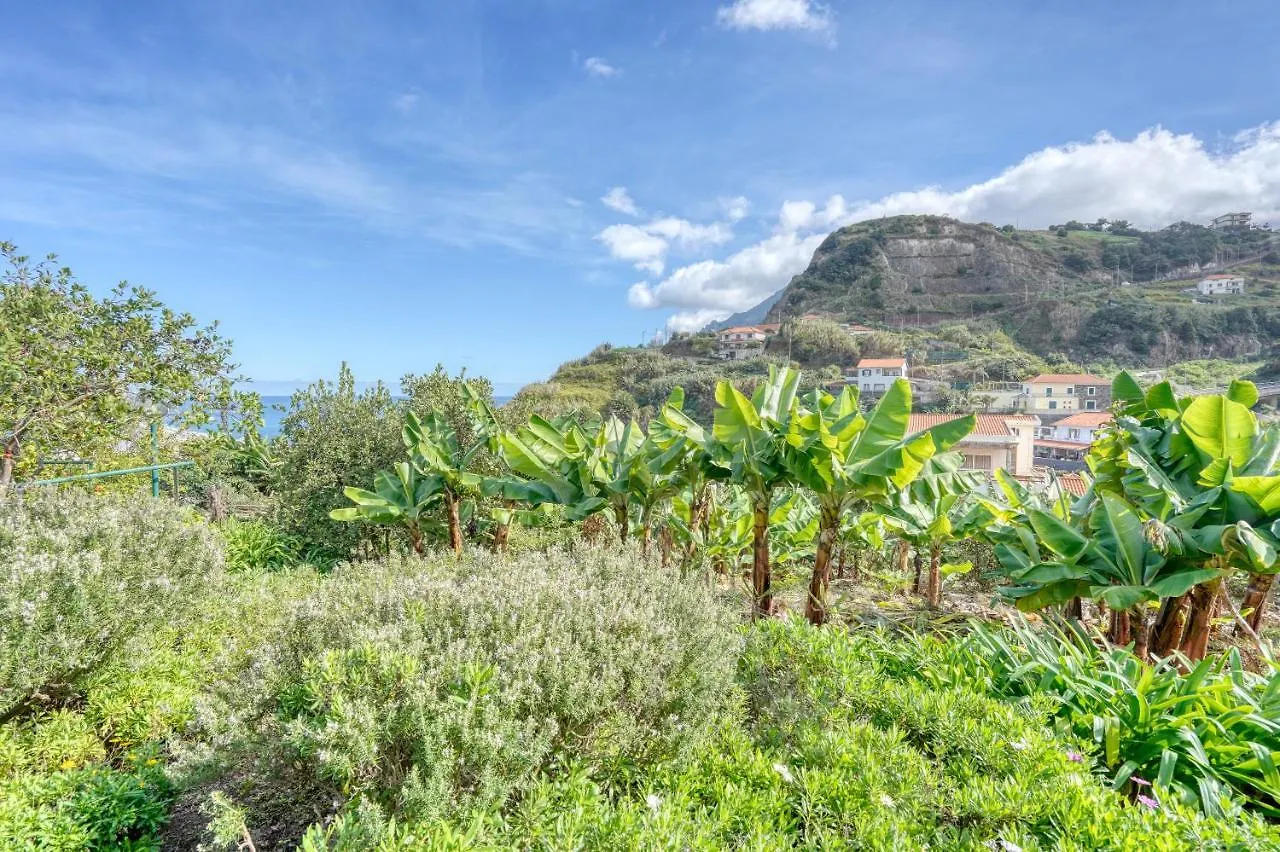 Casa de Férias Quinta Da Vila Porto Da Cruz